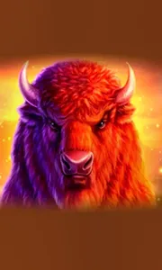 Buffalo 50